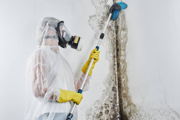 Best Residential Mold Removal  in Suwanee, GA