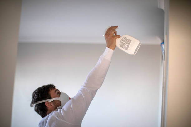 Best Office Mold Removal Services  in Suwanee, GA