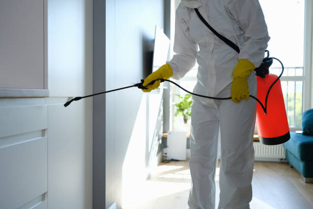Home Mold Removal in Suwanee, GA